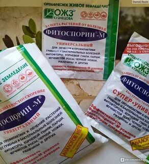 Обработка почвы в теплице осенью фитоспорином