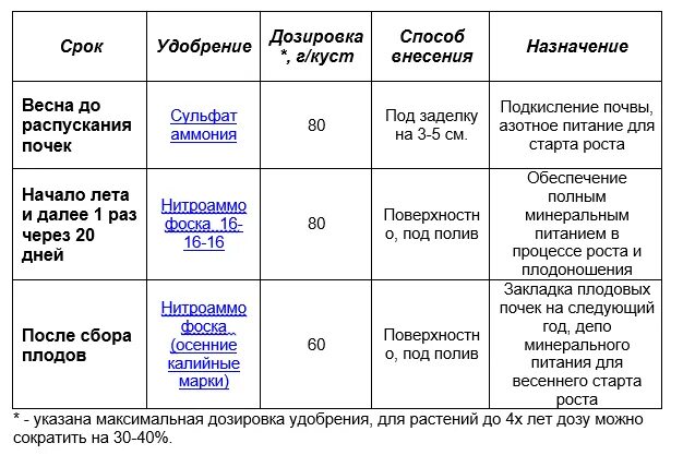 Подкормка голубики весной и летом. Схема подкормки садовой голубики. Схема удобрений голубики. Схема обработки и подкормки голубики. Таблица подкормок голубики.