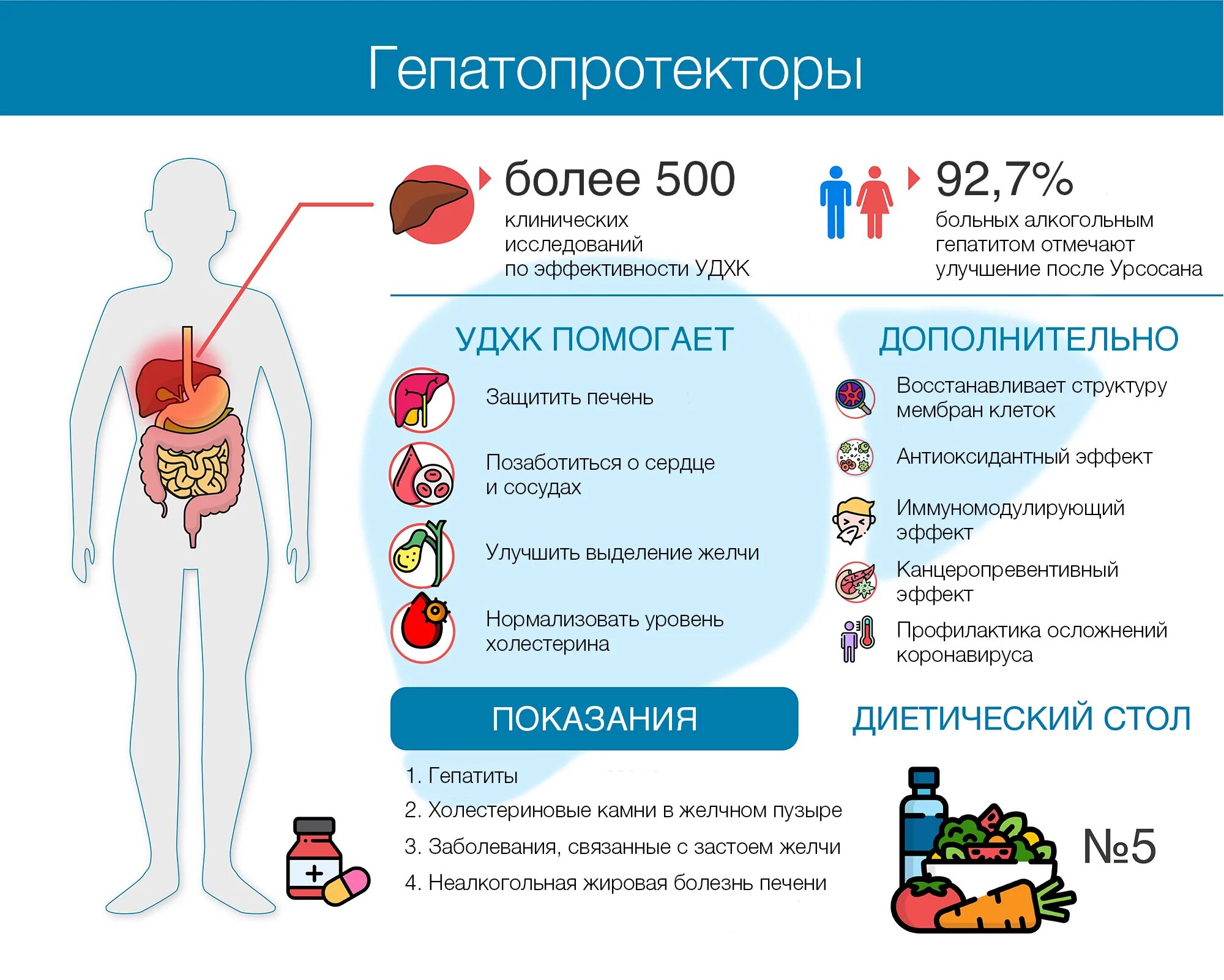 Гепатопротекторы урсодезоксихолевая кислота. Фармакология гепатопротекторов. Механизм действия гепатопротекторов. Классификация гепатопротекторов. Гепатопротекторы при гепатите