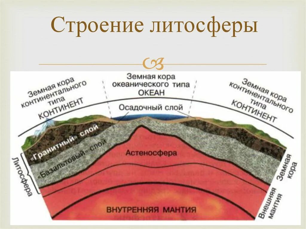 Осадочный слой литосферы. Схема строения литосферы. Схема геологического строения литосферы земли. В литосфере существует жизнь