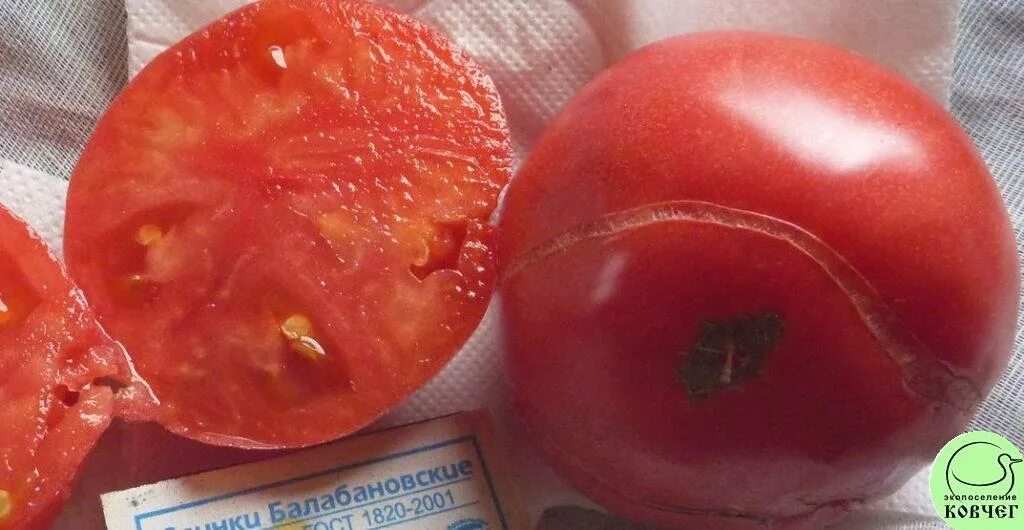 Сорт помидор фиделио. Томат сорт царь-колокол. Томаты сорта колокол. Томат индетерминантный красный колокольчик. Томат царь колокол.