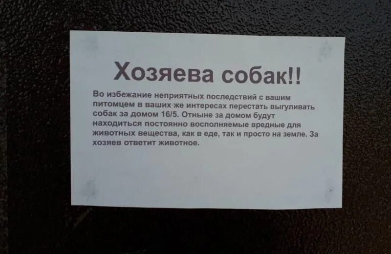 Обращение к владельцам собак. Объявление о животных в подъезде. Объявление по собакам в подъезде. Объявления в подъезде. Штрафы в общежитие