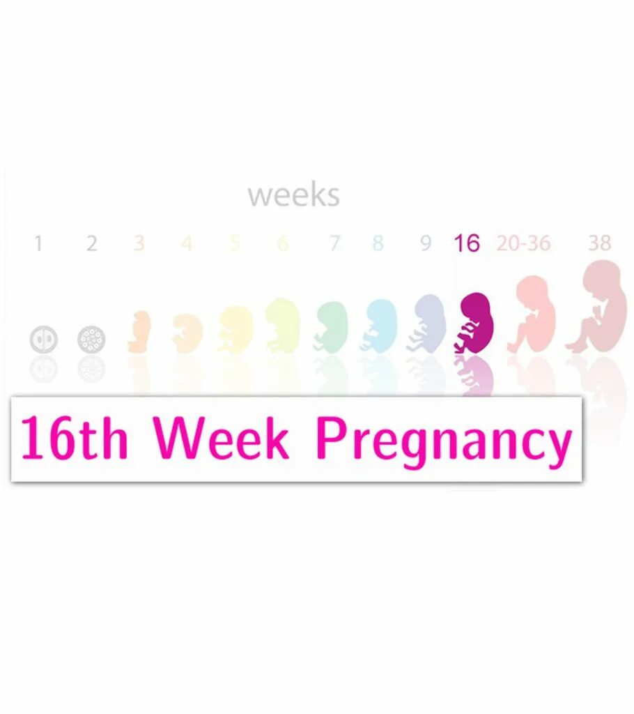 7 Weeks беременности карточка. Baby Development in Egg at 14 weeks, 8k. 36 1 неделя беременности