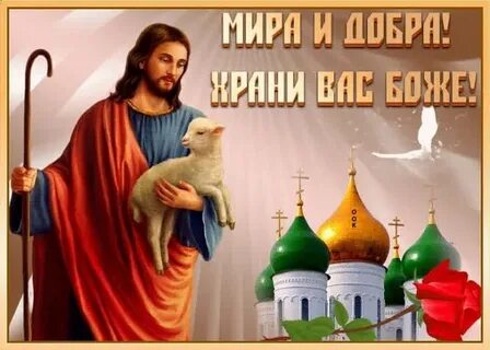 Храни добро