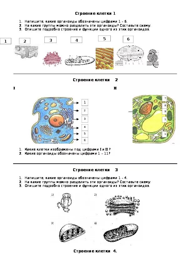 Строение клеток тест с ответами. Строение клетки 5 класс биология задания по теме. Тема по биологии органоиды клетки 5 класс. Карточки органоиды клетки 9 класс. Органоиды клетки проверочная.