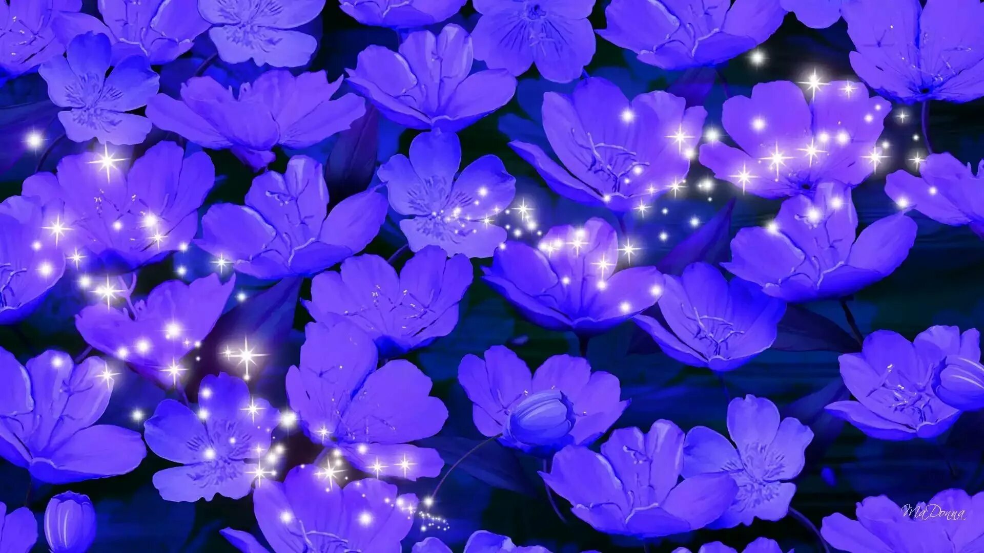 Фиолетовые цветы. Сиреневые цветы. Синие цветы. Сине фиолетовые цветы.
