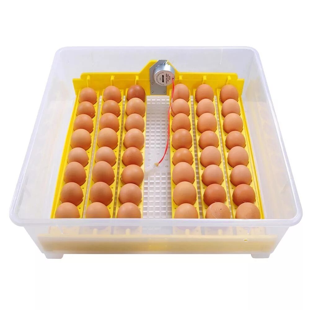 Инкубатор fully automatic egg incubator. Инкубатор автоматический hhd 48. инкубатор для яиц egg incubator. инкубатор для яиц на 4 яйца. инкубатор hhd 12.