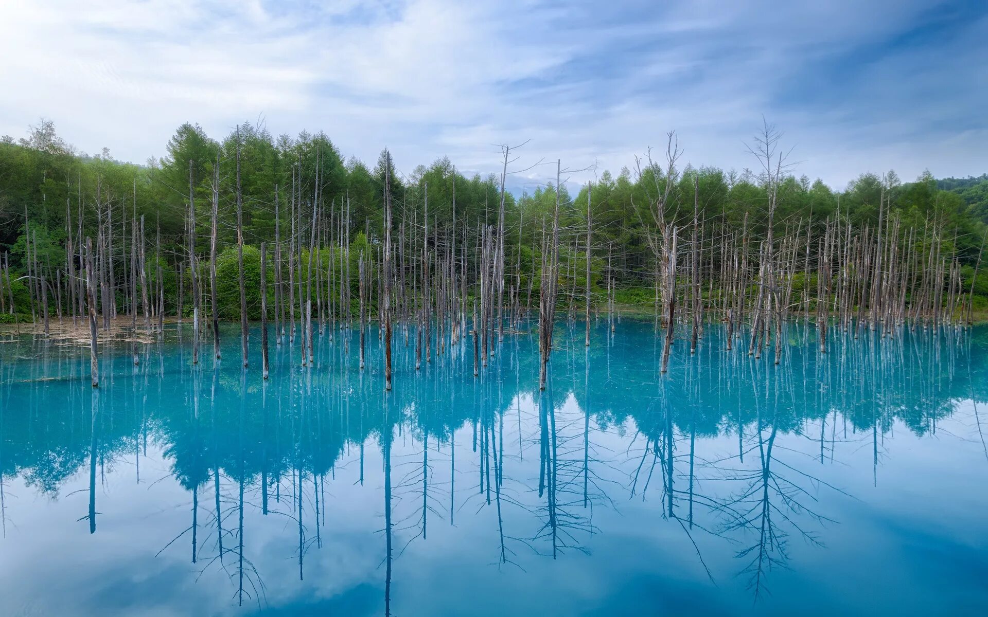 Реки сини. Голубой пруд Биэй, Япония. Озеро Каинды. Озеро Хоккайдо Япония. Изьяры озеро Марий Эл.
