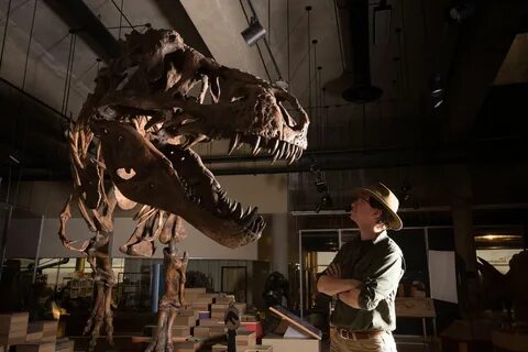 T. Rex found in Saskatchewan is the oldest and largest in the world.