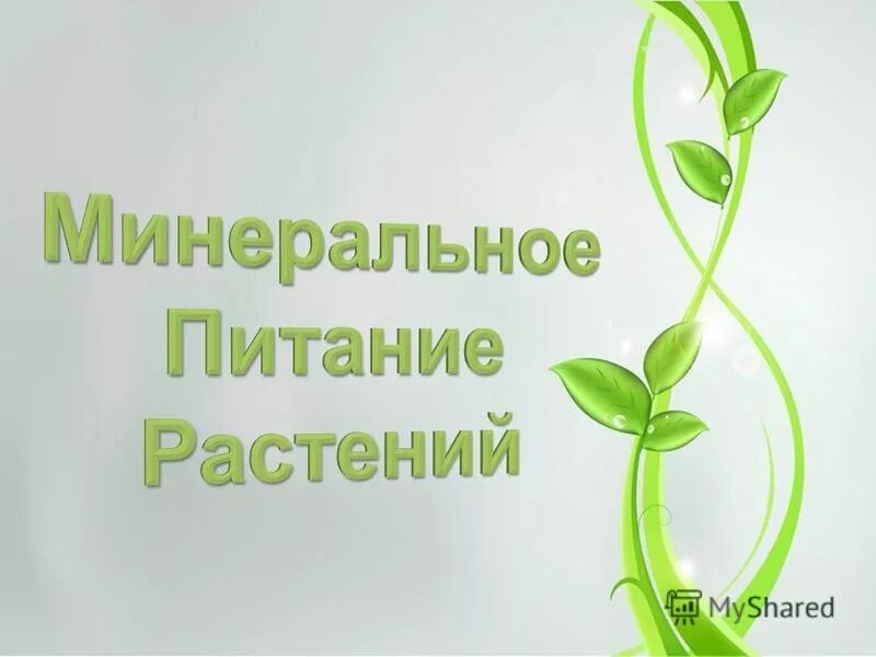 Тест по теме минеральное питание