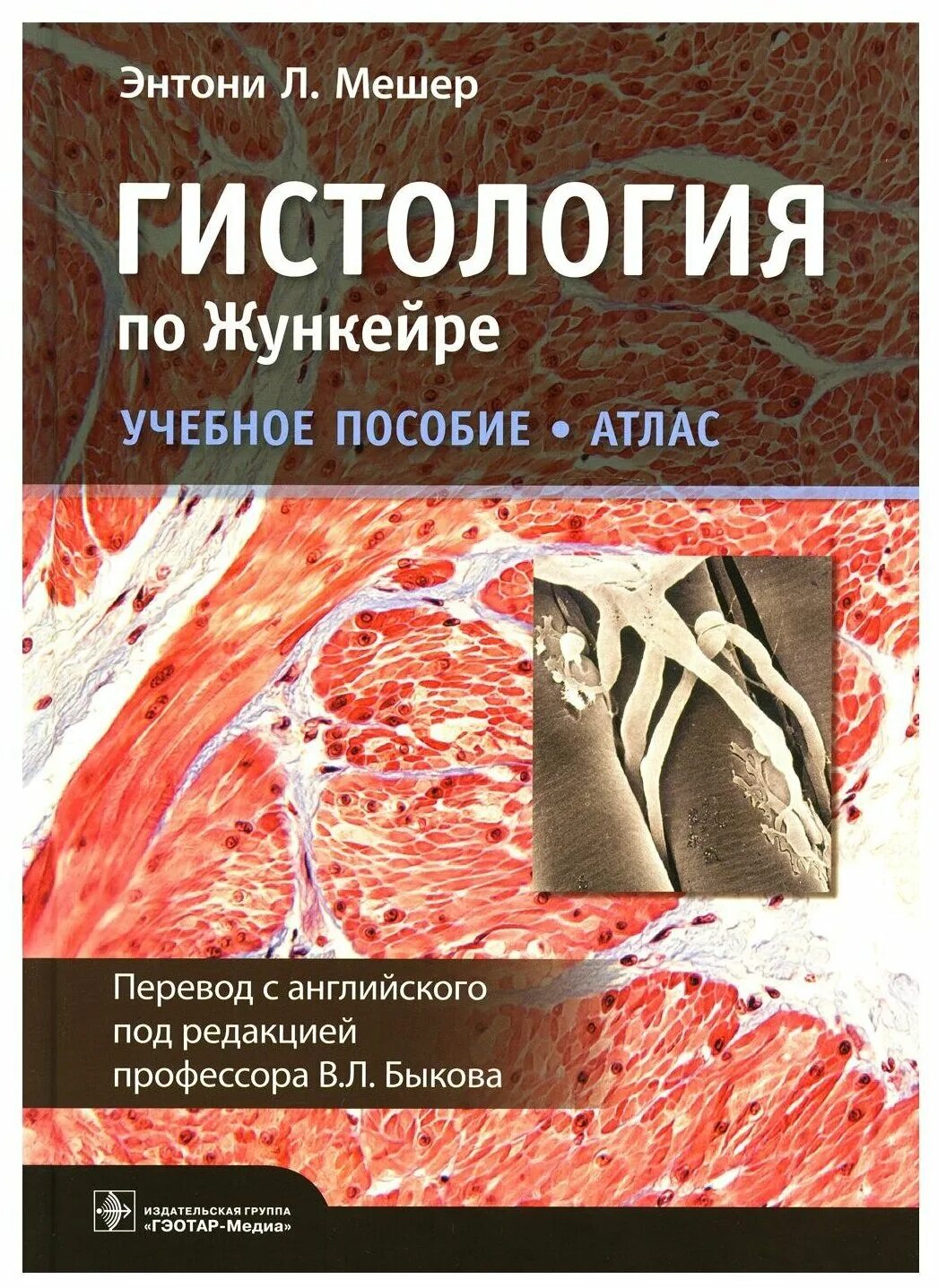 Учебник по гистологии