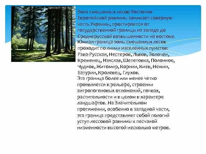 Смешанные леса россии климат. Климатические условия зоны хвойных лесов. Природные зоны россии смешанные леса. Осадки в лиственных лесах. Осадки зоны смешанных лесов.