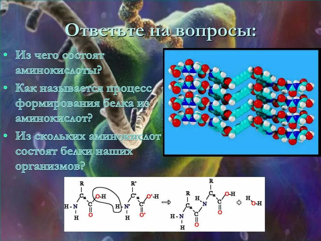 Сложные коллоидные комплексы включающие в себя белков. Аминокислоты состоят из. Белок состоит. Из чего состоит белка. Молекула белка химия.