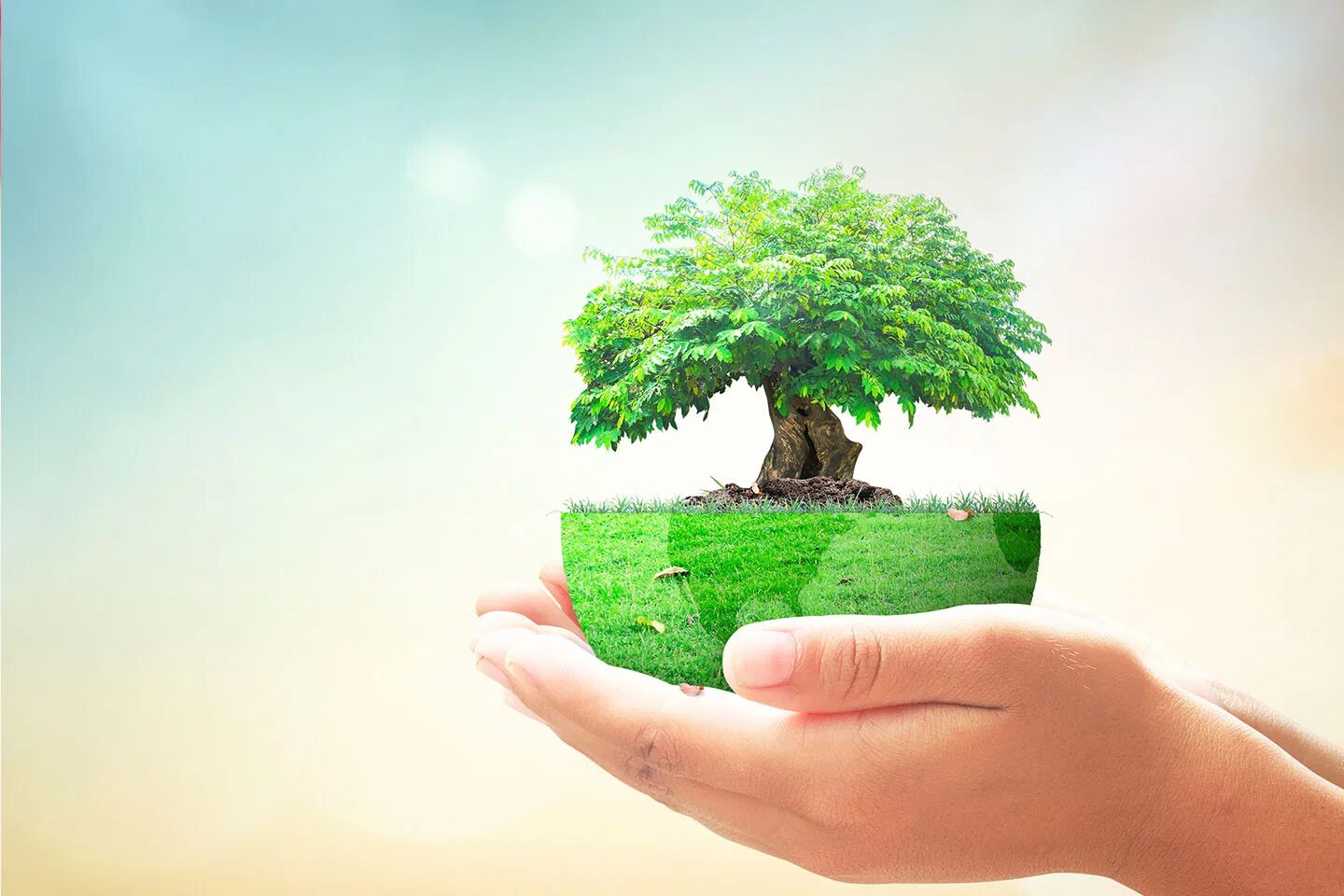 C get environment