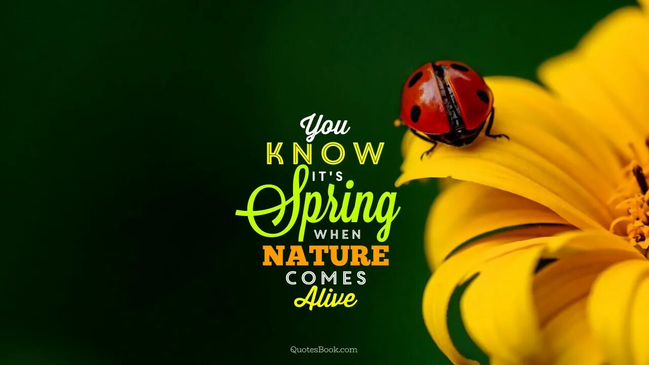I am from nature. Nature quotes. quotes about nature. nature is quote. best quotes.
