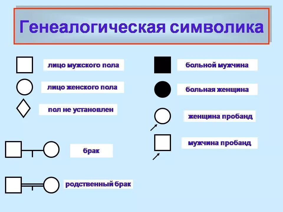 Обозначения в родословной. Условные обозначения принятые при составлении родословных. символика генеалогического метода. символы используемые при составлении родословной. генеалогический метод обозначения.
