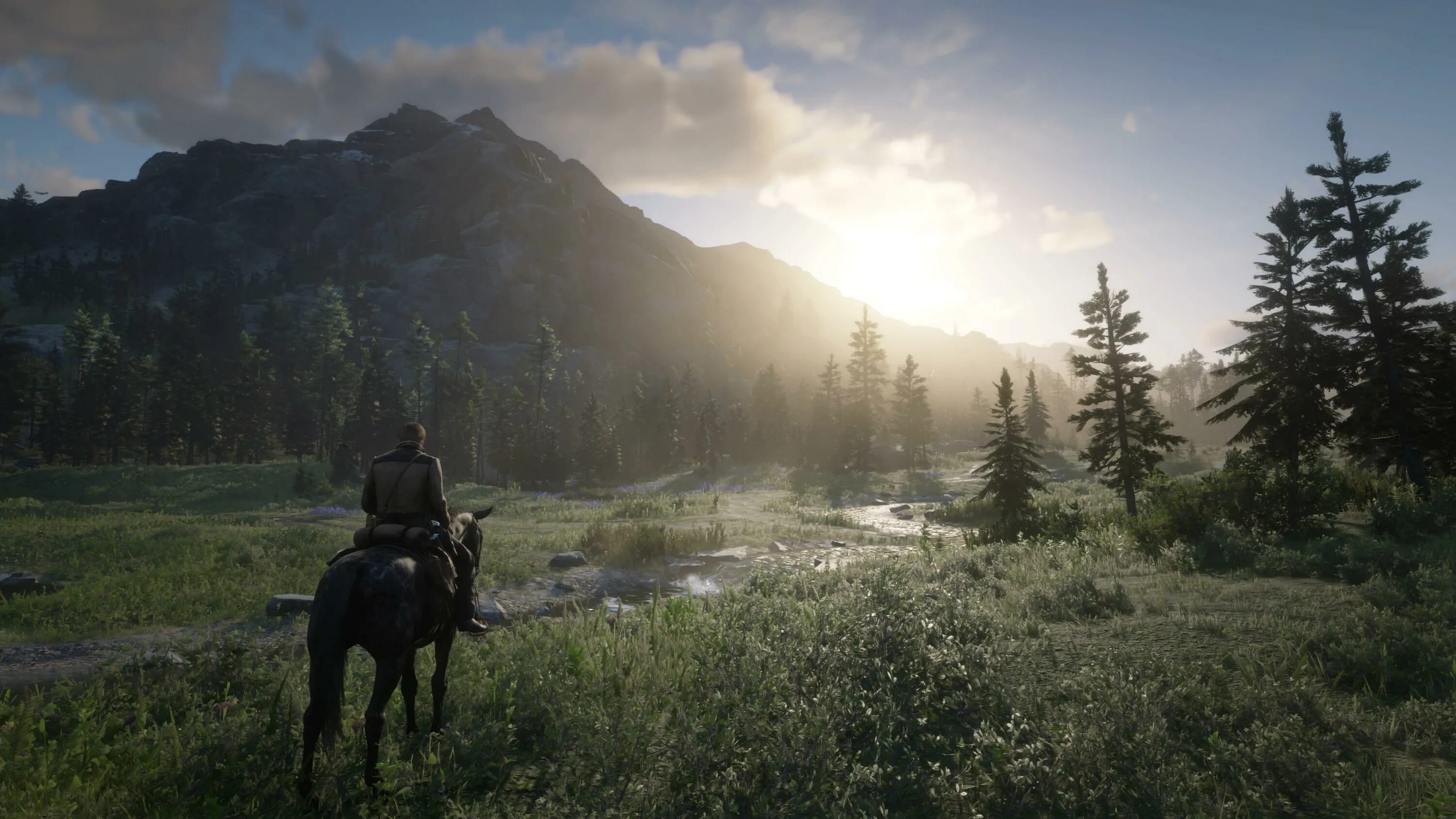 Red Dead Redemption 2 фон. Red Dead Redemption 2 горы. Red Dead Redemption 2 Скриншоты. Red Dead Redemption 2 природа.