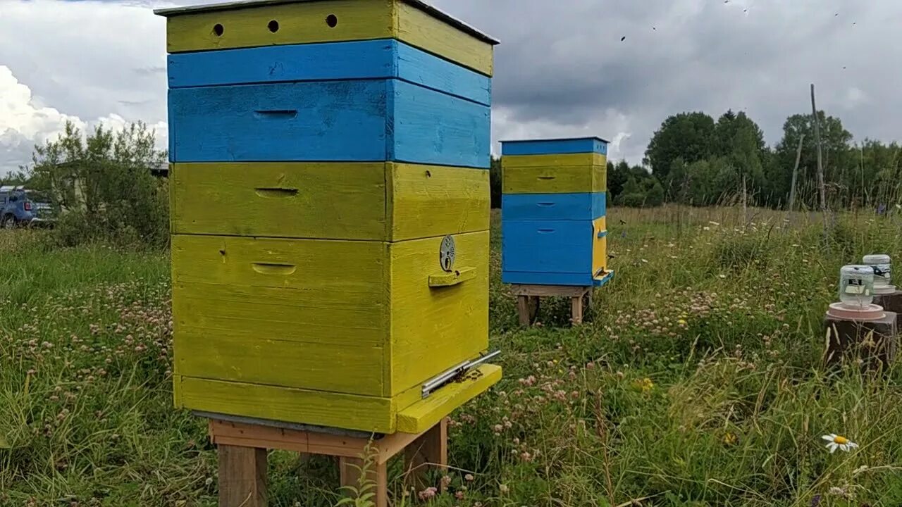 Пасека на участке. Разноцветные улья. Леток для улья. Кенийский улей.