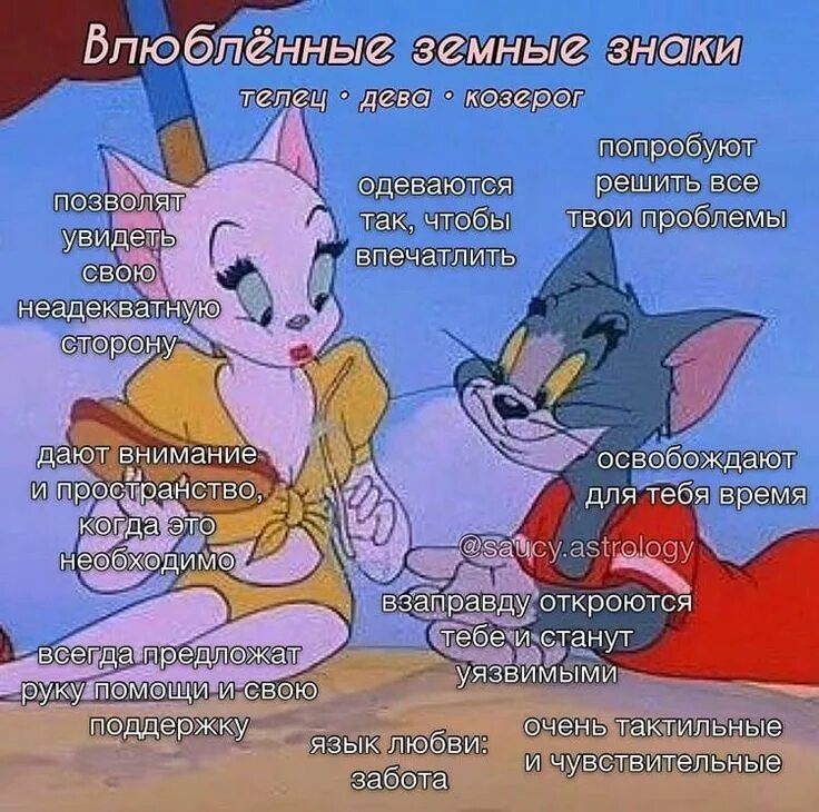 Том и девки. Том и джерри salt water tabby. том и джерри том и кошечка. том влюбился в кошечку. влюбленный том.