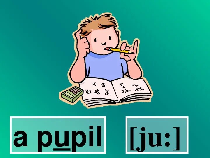 My best pupil. Ученик на английском pupil. Что такое по английскому pupil. Pupil картинка. Карточка ученика.