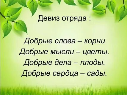 Ни одно доброе слово