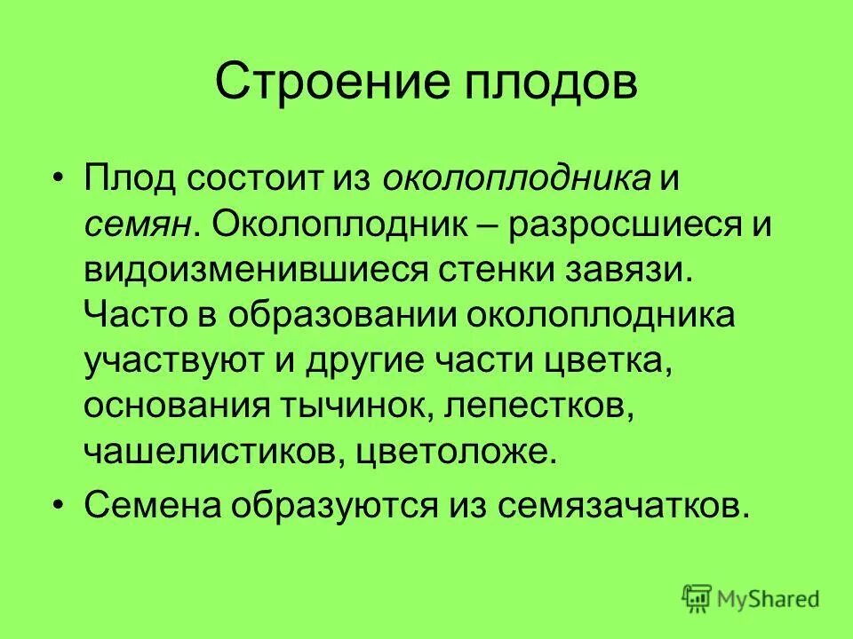 Плод состоит из околоплодника и семян. Плод строение и функции. Строение цветка околоплодник. Околоплодник состоит из. Околоплодник это разросшиеся