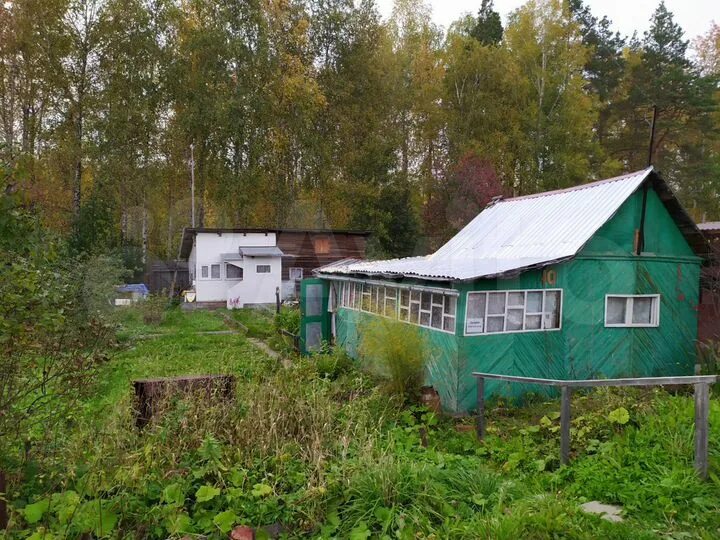 Купить снт пышма. СНТ экран верхняя Пышма. СНТ 2 СУЗМК Среднеуральск. Красные коттеджи купить верхняя Пышма СНТ солнышко.