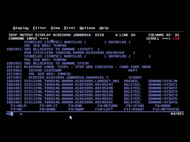 Cl programming. IBM Mainframe язык программирования. COBOL язык программирования. Интерфейс Кобол. Экран no Command.