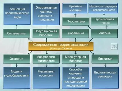Традиционные концепции эволюционно биологическая психологическая
