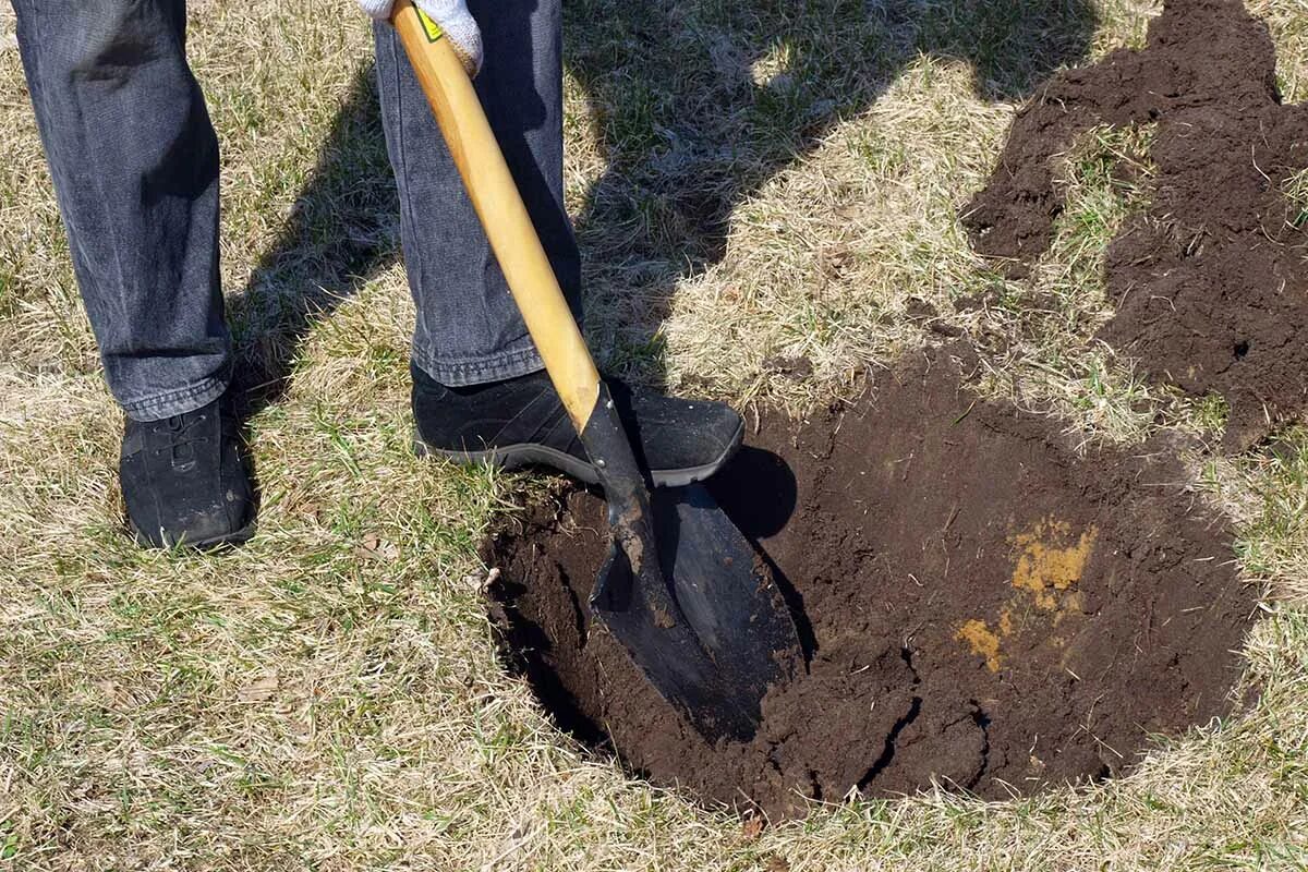 Digging holes. Лопата для копки ямы. Лопата в земле. Копать землю. Яма с лопатой.