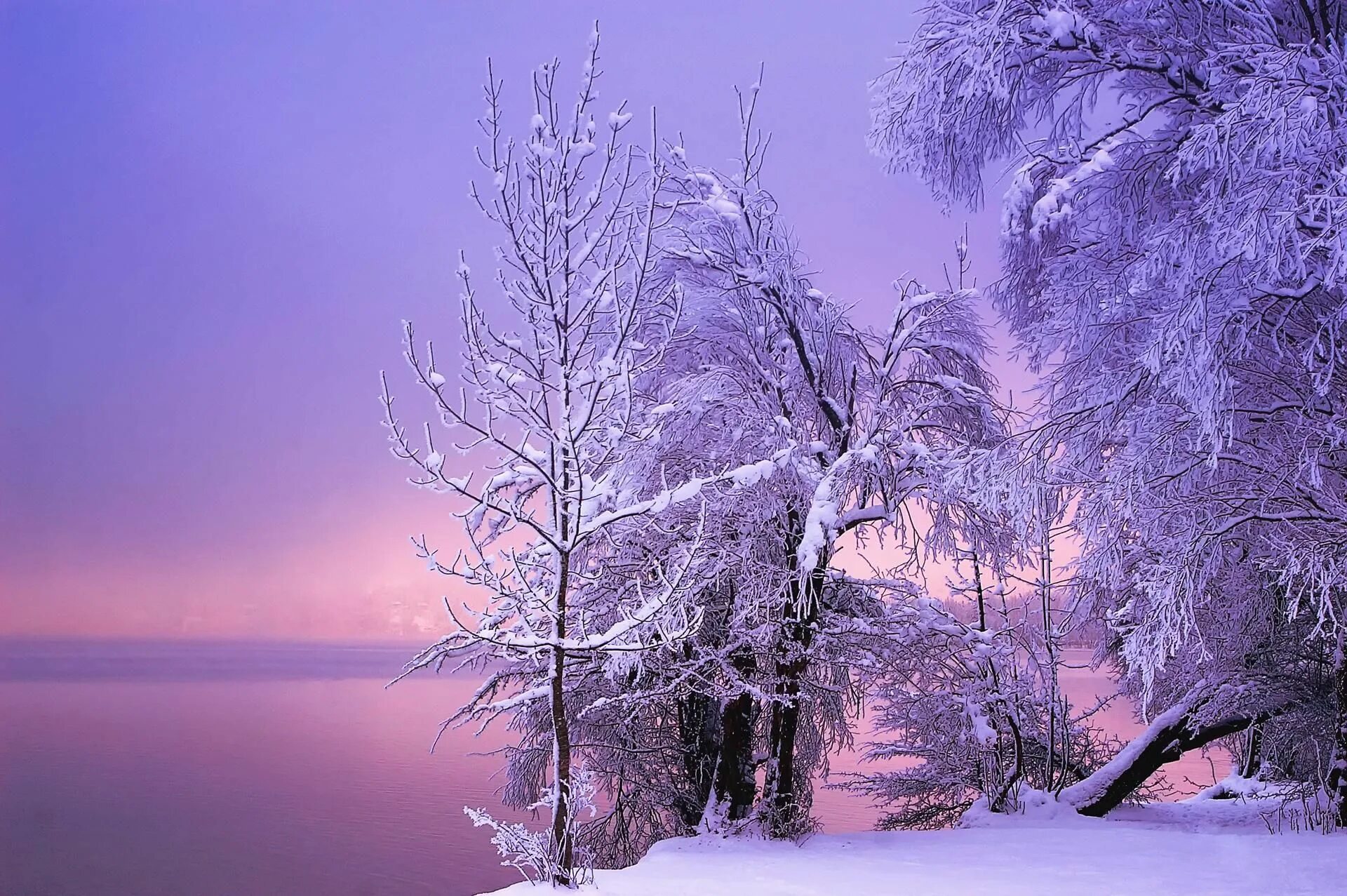 Зимняя природа. Зима пейзаж. Красивая зима. Красота зимы. Красивая природа февраль