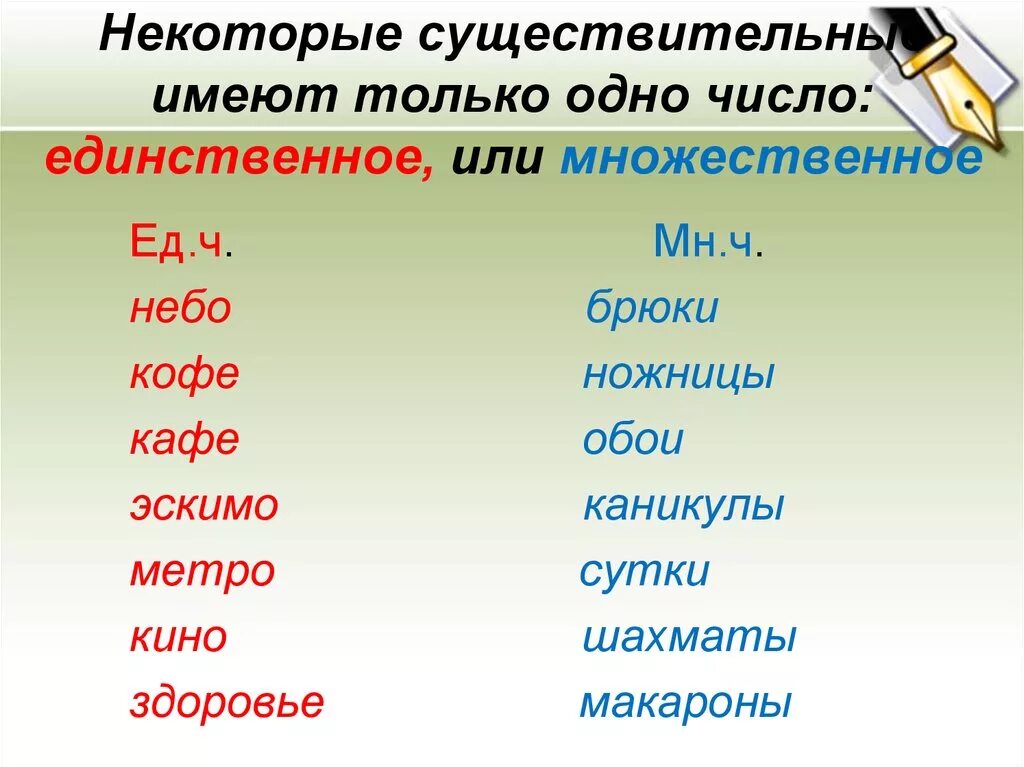 Слова тобко мнлжественого сислп. Существительные множественного числа. Существительное мгодественногочисла. Словатольао АО множественном числе.