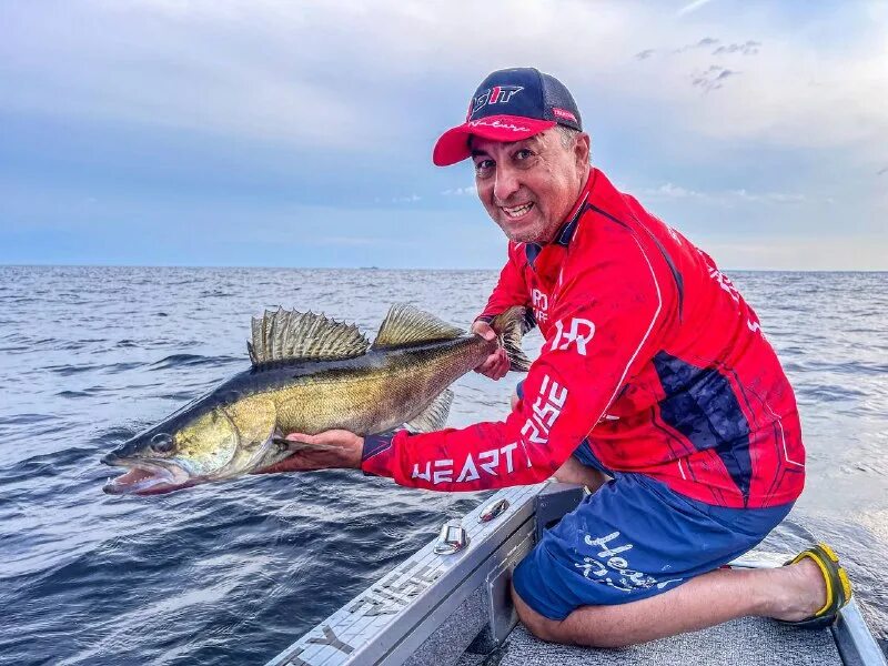 акватория спиннинга. Pro anglers. акватория спиннинга. акватория спиннинга. шабалин катер.