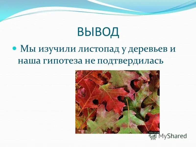 Когда заканчивается листопад у дуба. Когда заканчивается листопад у дуба