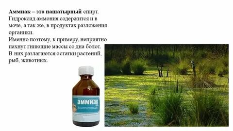 Как пахнет аммиак