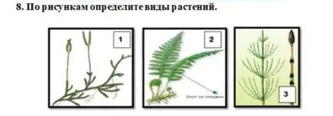 Как распознать рисунок