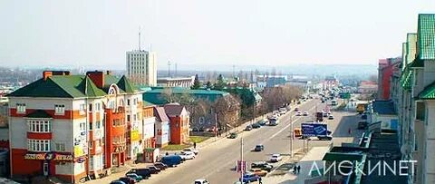 Ласка лиски