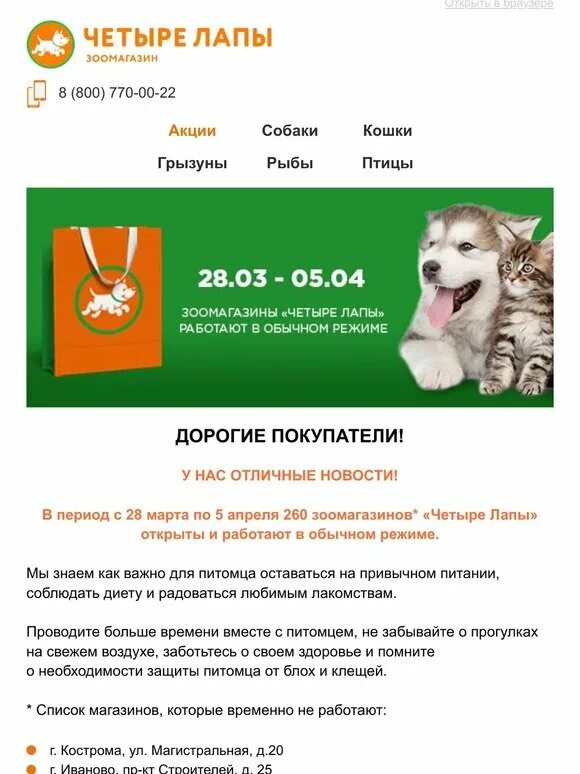 четыре лапы тула каталог. четыре лапы тула каталог. четыре лапы тула каталог. четыре лапы тула каталог. зоомагазин в костроме четыре лапы.