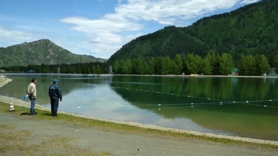 томенко цветение маральника. новости алтайского края катунь. фестиваль цветение маральника 2023 бирюзовая катунь. алтайские новости сегодня на канале катунь 24. цветение маральника бирюзовая катунь.