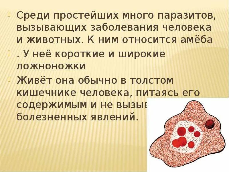 Выберите паразитических простейших ответ. Простейшие паразиты. Многообразие простейших паразитические простейшие. Паразитические простейшие заболевания. Паразитические формы простейших и вызываемые ими болезни.