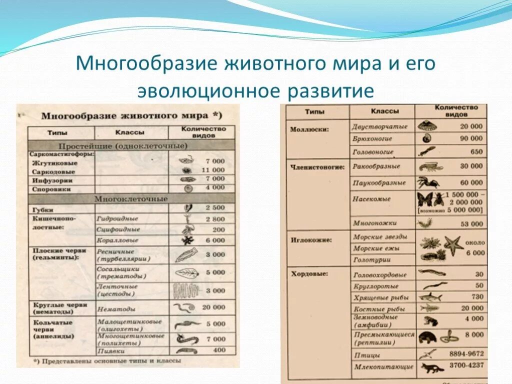 Таблица по биологии 5 класс многообразие животных. Разнообразие животных таблица 7 класс. Разнообразие животных 9 класс таблица. Разнообразие животных та.