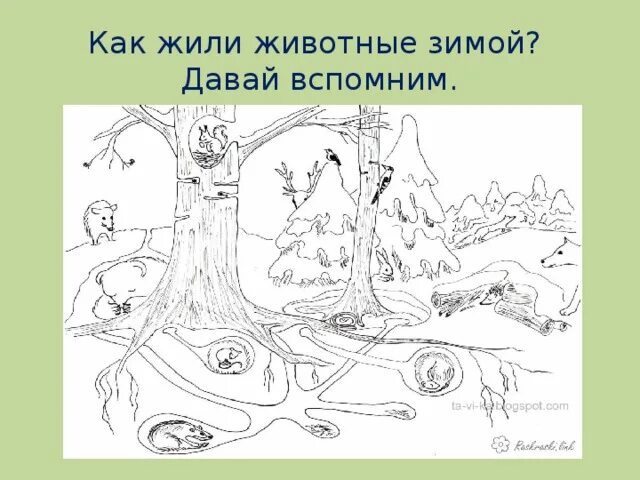 Рабочий лист животные зимой. Звери зимой задания для детей. как зимуют животные. изменения у животных зимой. зимующие животные задания.