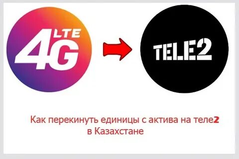 Актив единица