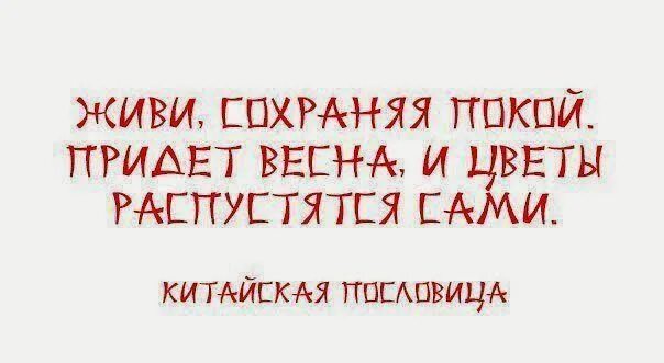 Живи сохраняя покой. Живи сохраняя покой и цветы распустятся сами. Китайская пословица. Живи, сохраняя покой.