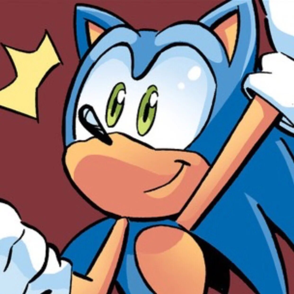 Sonic icon