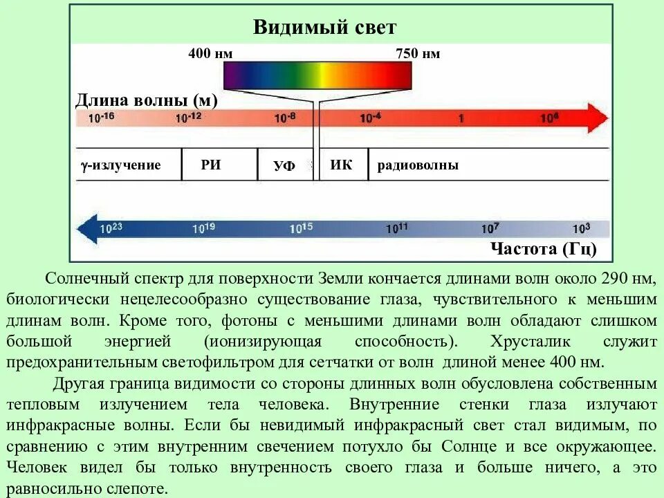 Видемые. Видимый глазом диапазон электромагнитного излучения. Диапазон длин волн видимого участка спектра. Видимый спектр света частота. Видимый диапазон спектра занимает частотный интервал.