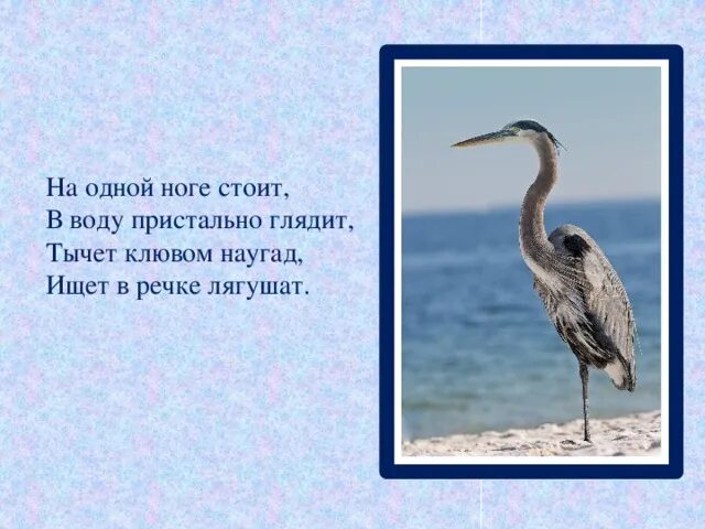 Гимнастика цигун упражнение золотой петух. Упражнение золотой петух. На одной ноге текст. Вес на другую ногу. Стоим на одной ноге рисунок.