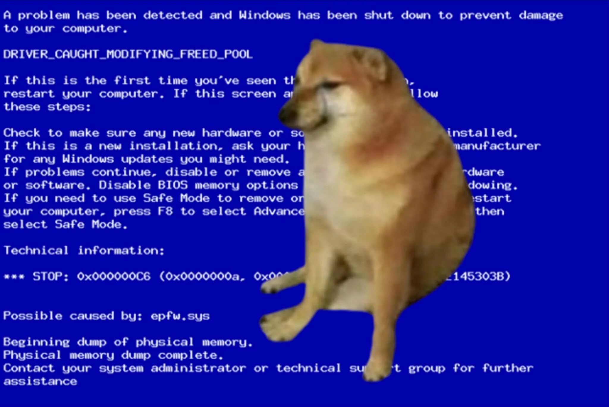 He has problems and time. A problem has been detected and windows. blue doge. кот bsod.