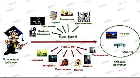 Формы познания конспект урока 10 класс обществознание