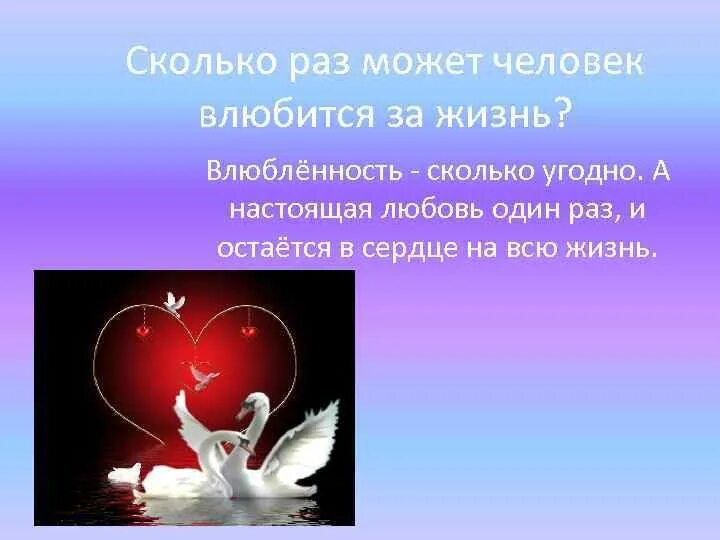 Сколько раз человеческих. Сколько раз человек может любить. Любовь один раз в жизни. Сколько раз можно влюбиться в жизни. Одна любовь на всю жизнь.